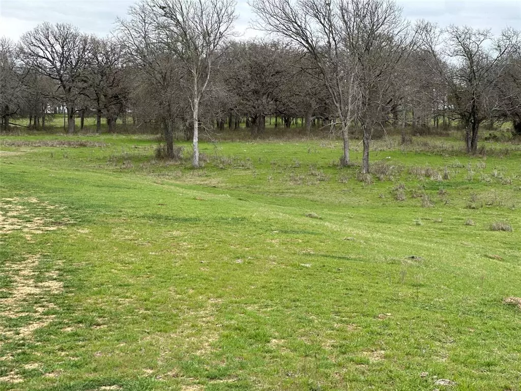 Covington, TX 76636,Lot3 Blk1 TBD SH 171