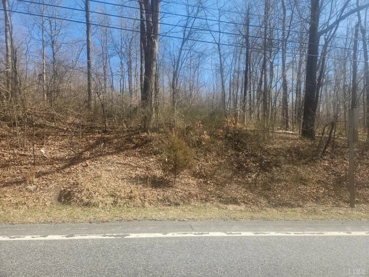 Big Island, VA 24526,14259 Big Island Highway