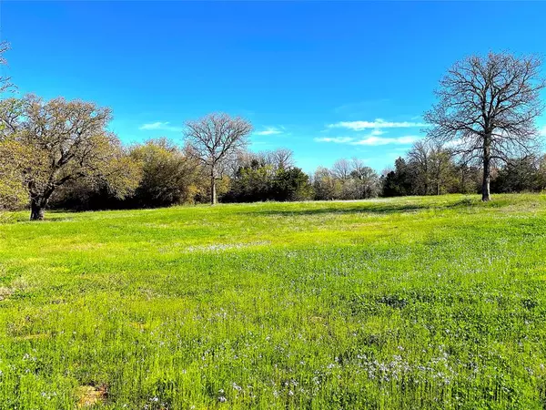 Weatherford, TX 76088,TBD (B) Roble Court