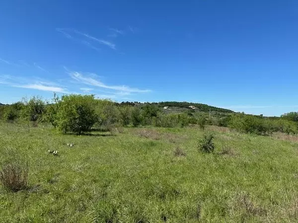 Graford, TX 76449,Lot 22 Northern Bobwhite Court