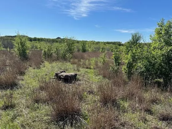 Graford, TX 76449,Lot 22 Northern Bobwhite Court