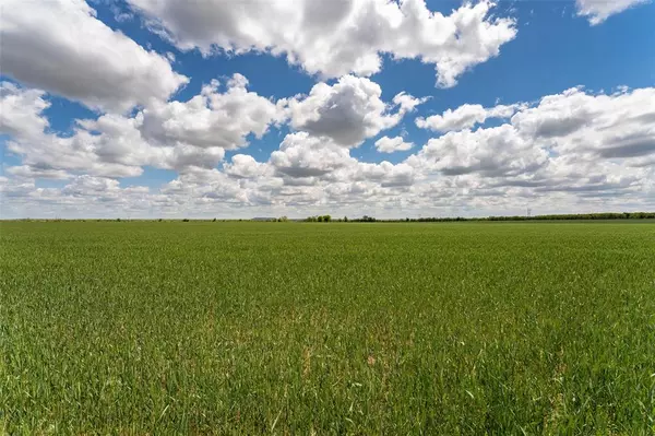 Coleman, TX 76834,TBD State Highway 206