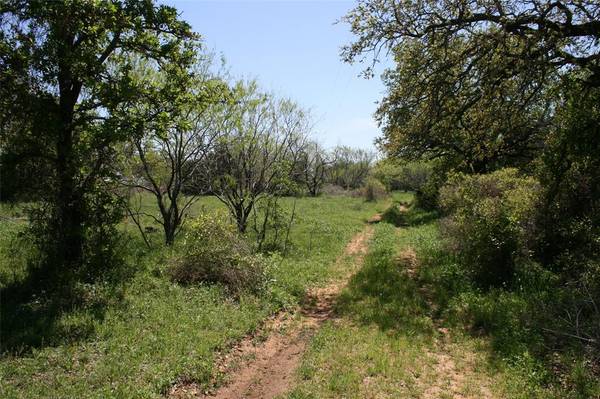 Mineral Wells, TX 76067,90 Tack Road