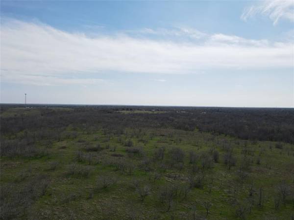 Tract 1A (42.11acs) SW Frontage Road I-45, Streetman, TX 75859