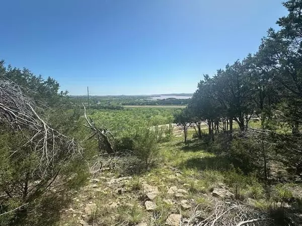 Graford, TX 76449,Lot 259 Canyon Wren Loop