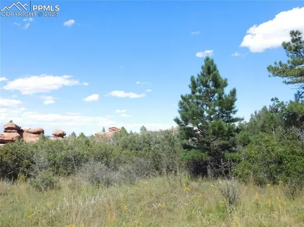 Larkspur, CO 80118,6419 Torrey Pines DR