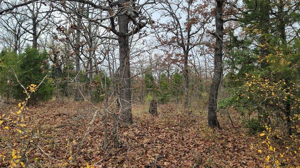 Log Cabin, TX 75148,0 Davey Crockett Row