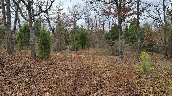 Log Cabin, TX 75148,0 Davey Crockett Row