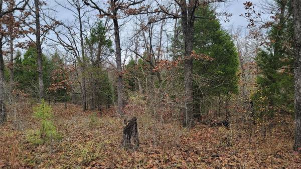 Log Cabin, TX 75148,0 Davey Crockett Row