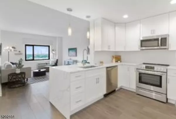 1 Carriage City Plz #905, Rahway City, NJ 07065