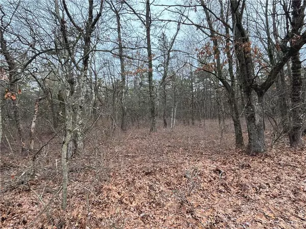 Lot 343 Wild Creek Drive, Penn Forest Township, PA 18229