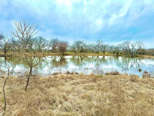 TBD Tract 3 Gin Road, Ennis, TX 75119