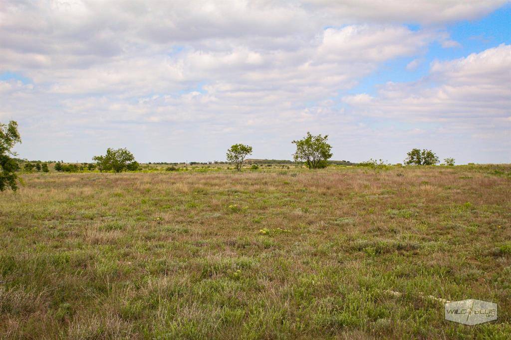 Hamilton, TX 76531,310 County Road 621