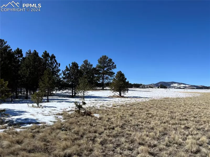 Doe Valley RD, Guffey, CO 80820