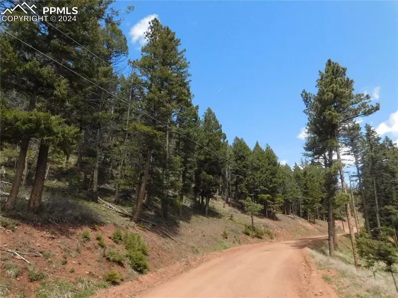 Lot 11 Woodmoor West DR, Larkspur, CO 80118