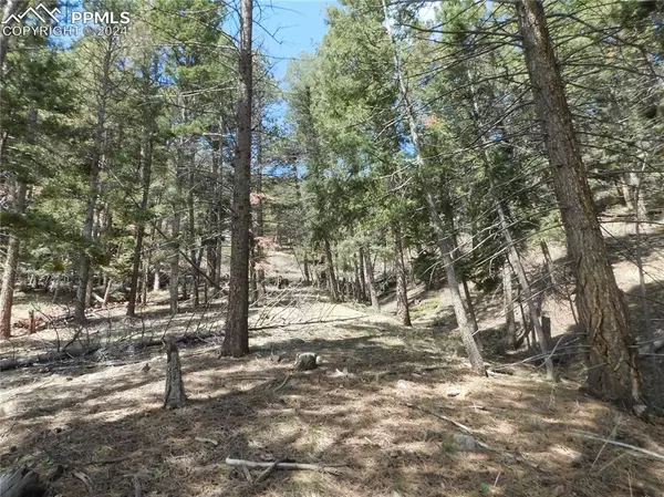 Larkspur, CO 80118,Lot 11 Woodmoor West DR