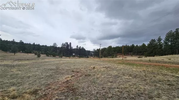 188 Obsidian DR, Florissant, CO 80816