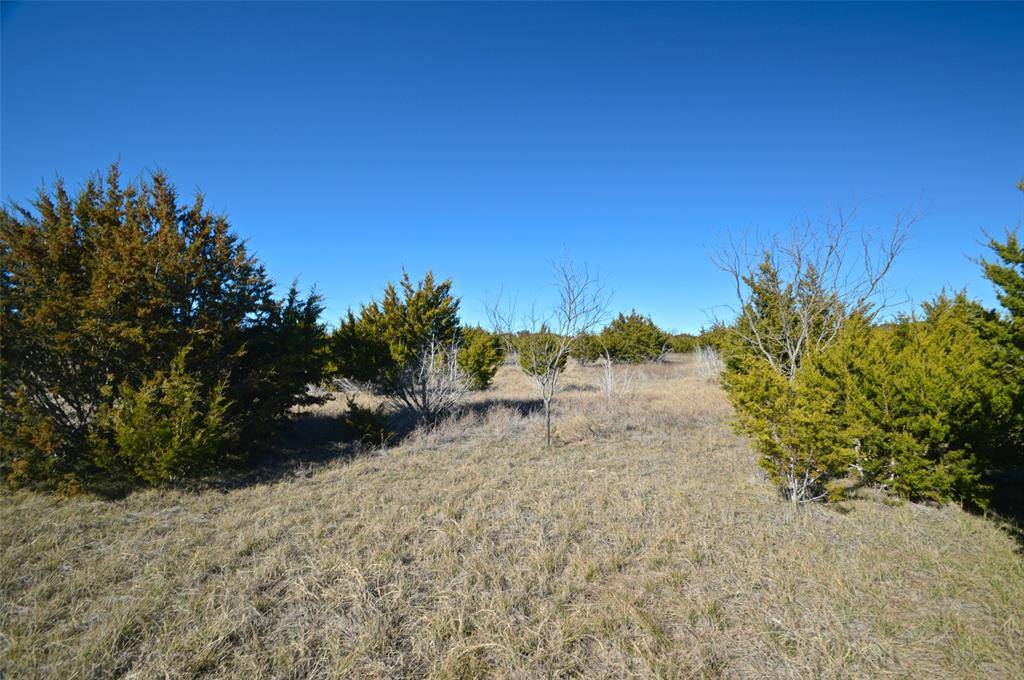 Bertram, TX 78605,1417 County Road 333