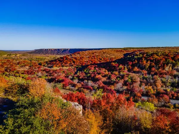 Possum Kingdom Lake, TX 76449,Lot 109 Oak Tree Drive