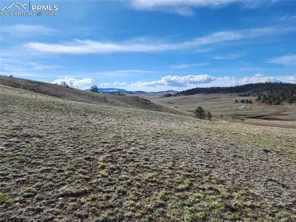 Hartsel, CO 80449,558 Chickadee DR