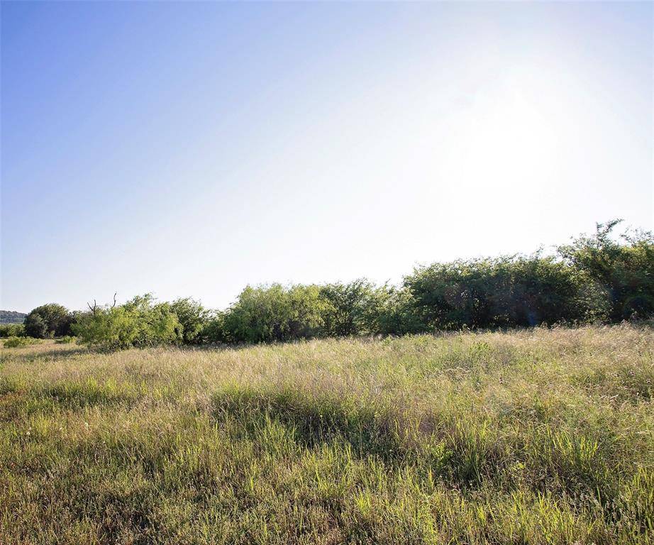 Graford, TX 76449,Lot 444 Indigo Bush Court