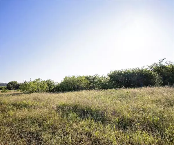 Lot 444 Indigo Bush Court, Graford, TX 76449