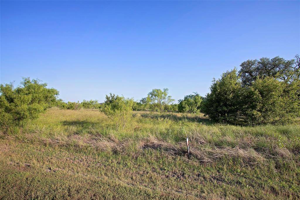 Graford, TX 76449,Lot 447 Indigo Bush Court