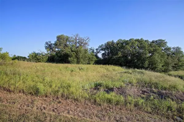 Graford, TX 76449,Lot 447 Indigo Bush Court