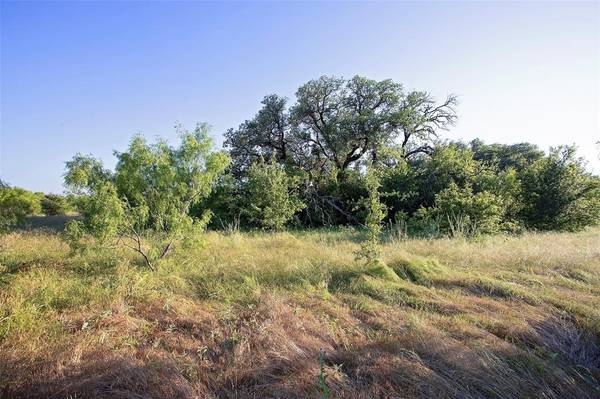 Graford, TX 76449,Lot 447 Indigo Bush Court