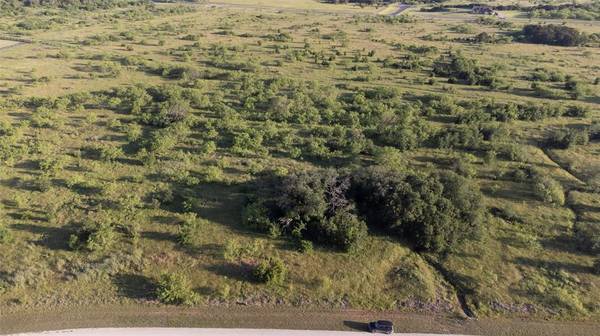 Graford, TX 76449,Lot 447 Indigo Bush Court