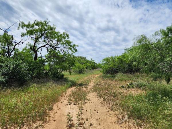 Cisco, TX 76437,TBD County Road 125