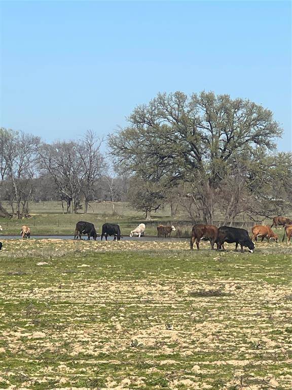 Grand Saline, TX 75140,TBD ST HWY 110