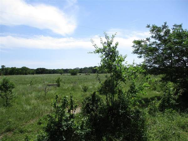 TBD CR 1168 COUNTY ROAD 1168, Brashear, TX 75420