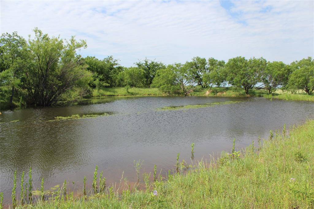 Blanket, TX 76432,9999 County Road 334