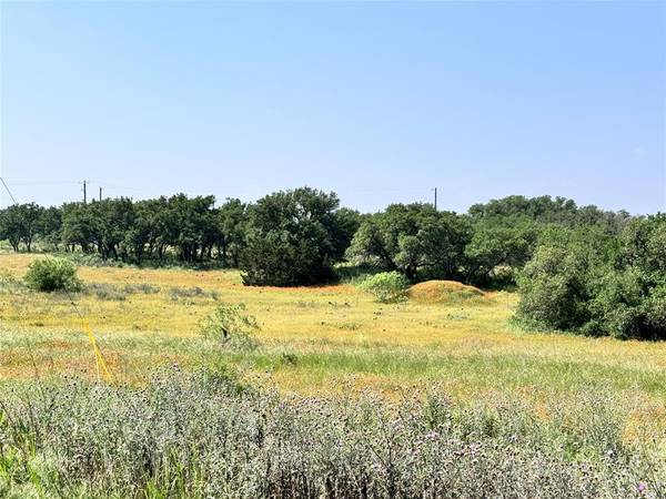 Brownwood, TX 76801,TBD Lot 991, 992 Long View Drive