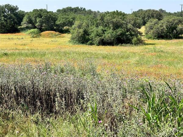 Brownwood, TX 76801,TBD Lot 991, 992 Long View Drive