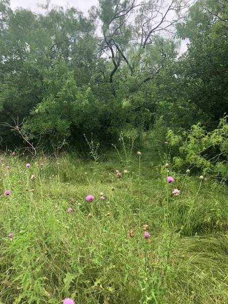 Lot 8 Lone Star Drive, Baird, TX 79504