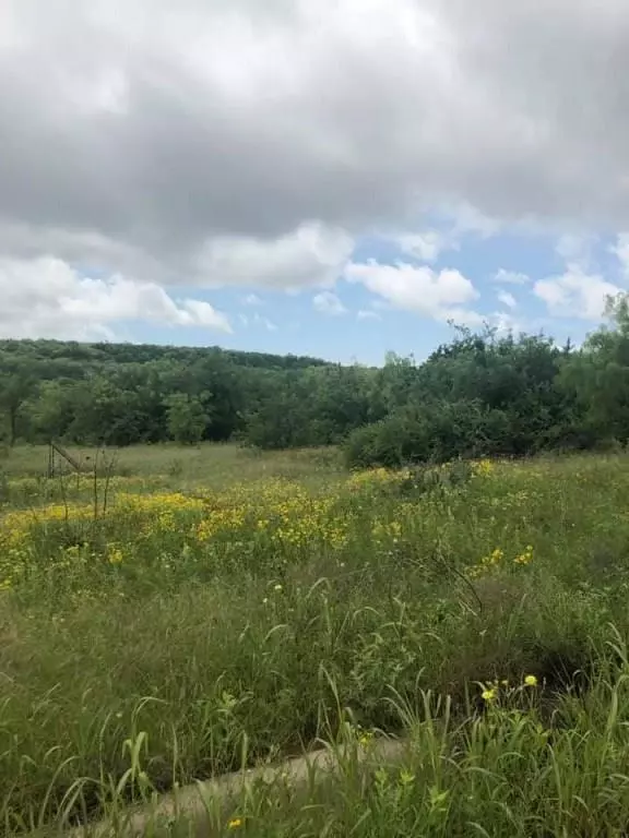 Baird, TX 79504,Lot 8 Lone Star Drive