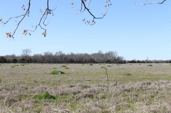 Tract 8 CR 2216, Caddo Mills, TX 75135