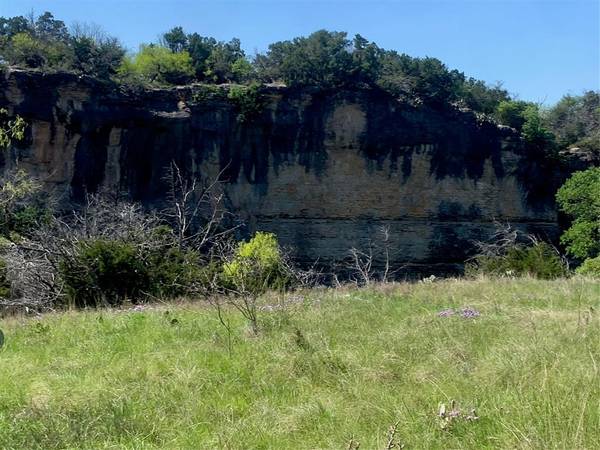 2044 Bluff Creek Drive, Strawn, TX 76475