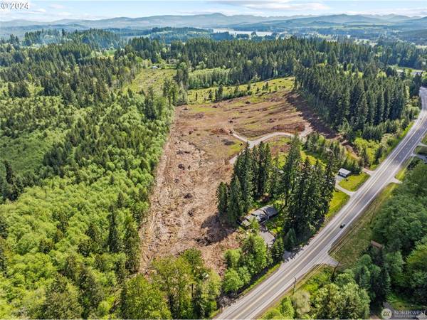 Castle Rock, WA 98611,0 Spirit Lake HWY #Lot 4