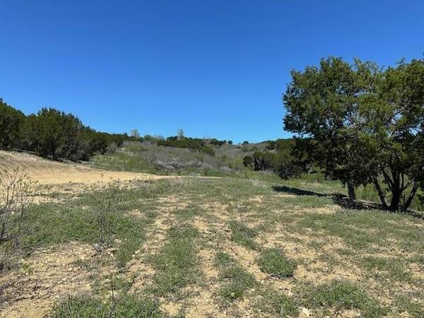 Graford, TX 76449,Lot 139 Canyon Wren S