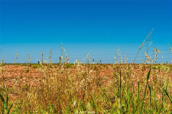 Anson, TX 79501,TBD CR 262