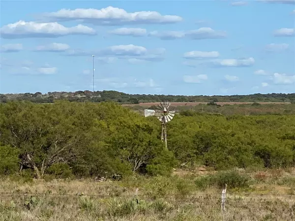 Coleman, TX 76834,TBD US Hwy 67