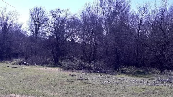 Granbury, TX 76048,TBD CR 302 Lot 10