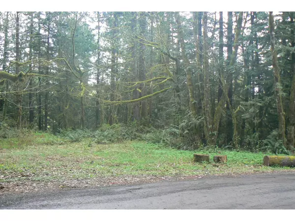 0 Old Pup Creek RD, Woodland, WA 98674