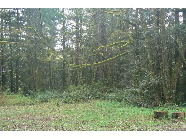 Woodland, WA 98674,0 Old Pup Creek RD