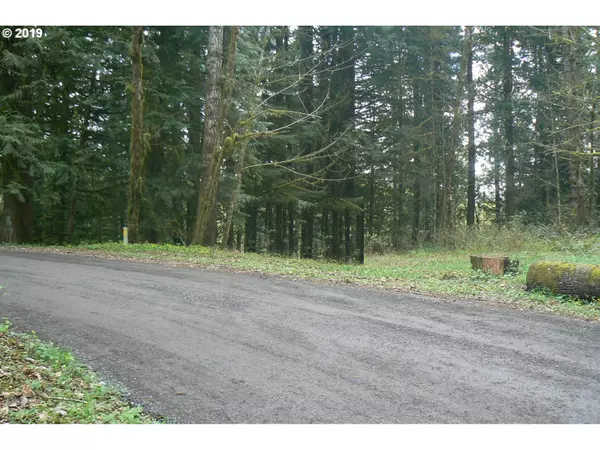 Woodland, WA 98674,0 Old Pup Creek RD