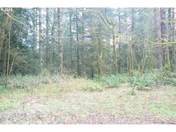 Woodland, WA 98674,0 Old Pup Creek RD