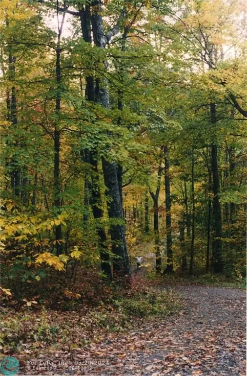 Other City - Not In The State Of Florida, NC 28736,118 LEAFY KNOLL CR